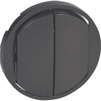 Лицевая панель LEGRAND Celiane выключатель 1-полюсный / переключатель Кат. № 0 670 01/02/31/32 графит Лицевая панель LEGRAND Celiane выключатель 1-полюсный / переключатель Кат. № 0 670 01/02/31/32 графит