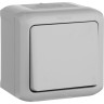 Выключатель LEGRAND Quteo 10 A 250 B IP 44 Серый 782330